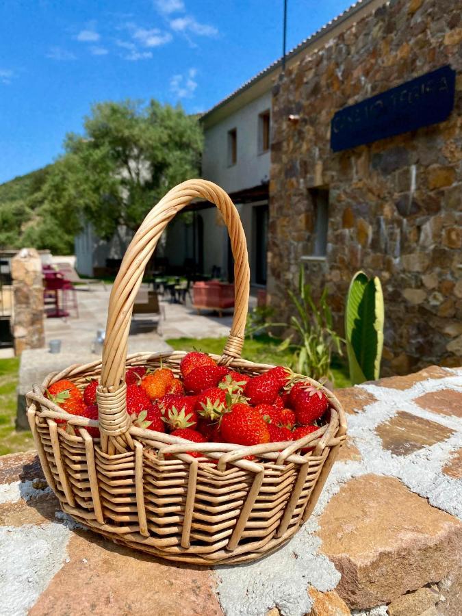 Casa Voltegira Panzió Manso Kültér fotó